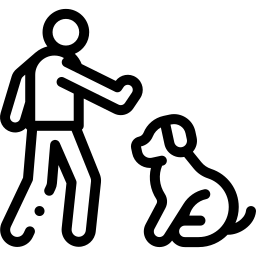 Функция тренировки